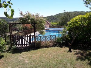 Jardin, vue sur la piscine